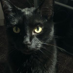 Meet your Posher, Sommer